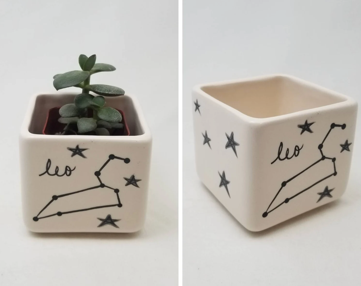 Zodiac Planter