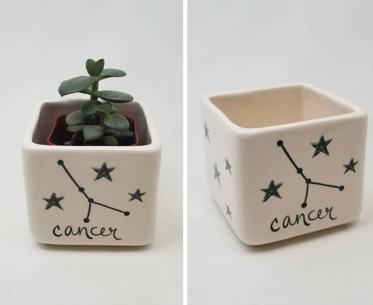 Zodiac Planter