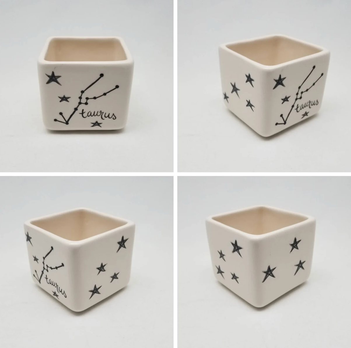 Zodiac Planter