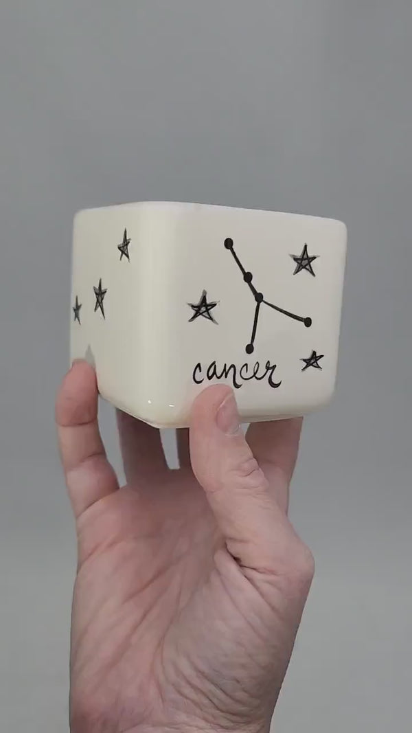 Zodiac Planter